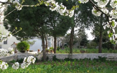 La realtà dell’associazione “Famiglie San Filippo Neri” di Putignano
